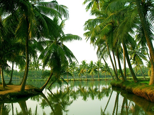 Konaseema Backwaters - Mini Kerala and Scenic Place to Visit in Andhra Pradesh